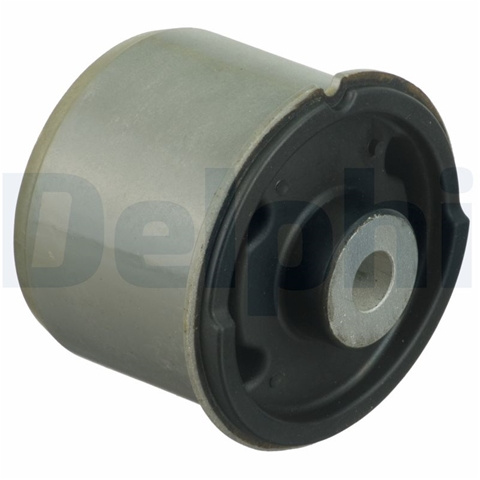 Bucsa Delphi Ford TD1629W