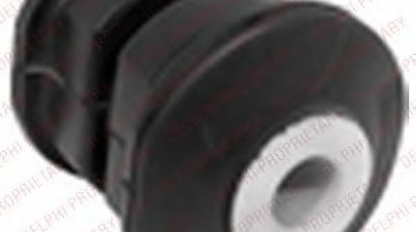 Bucsa, ochi arc FORD TRANSIT CONNECT (P65, P70, P80) (2002 - 2016) DELPHI TD879W piesa NOUA