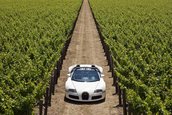 Bugatti Veyron 16.4 Grand Sport Roadster dezvaluit
