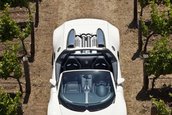 Bugatti Veyron 16.4 Grand Sport Roadster dezvaluit