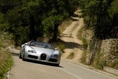 Bugatti Veyron 16.4 Grand Sport Roadster dezvaluit