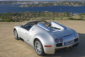 Bugatti Veyron 16.4 Grand Sport Roadster dezvaluit