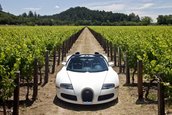 Bugatti Veyron 16.4 Grand Sport Roadster dezvaluit