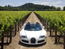 Bugatti Veyron 16.4 Grand Sport Roadster dezvaluit