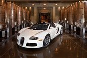 Bugatti Veyron 16.4 Grand Sport Roadster dezvaluit