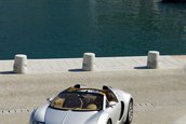 Bugatti Veyron 16.4 Grand Sport Roadster dezvaluit