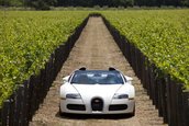 Bugatti Veyron 16.4 Grand Sport Roadster dezvaluit