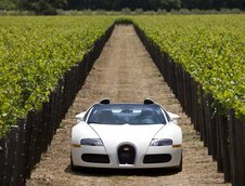 Bugatti Veyron 16.4 Grand Sport Roadster dezvaluit