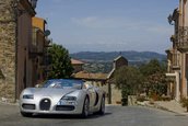 Bugatti Veyron 16.4 Grand Sport Roadster dezvaluit