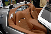 Bugatti Veyron 16.4 Grand Sport Roadster la Pebble Beach