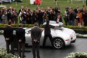 Bugatti Veyron 16.4 Grand Sport Roadster la Pebble Beach