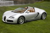 Bugatti Veyron 16.4 Grand Sport Roadster la Pebble Beach