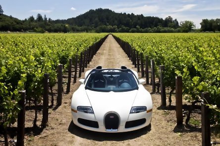 Bugatti Veyron Grand Sport - Galerie Foto