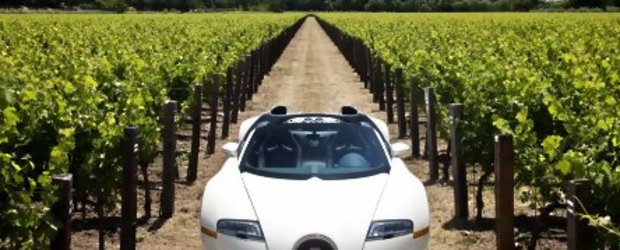 Bugatti Veyron Grand Sport - Galerie Foto