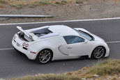 Bugatti Veyron Grand Sport Super Sport - Poze Spion