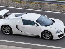 Bugatti Veyron Grand Sport Super Sport - Poze Spion