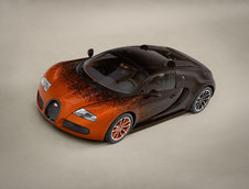 Bugatti Veyron Grand Sport Venet