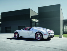 Bugatti Veyron Grand Sport Wei Long