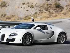 Bugatti Veyron Grand Super Sport - Poze Spion