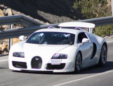 Bugatti Veyron Grand Super Sport - Poze Spion