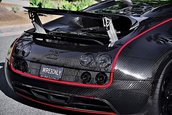 Bugatti Veyron Mansory Linea Vivere