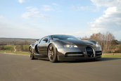 Bugatti Veyron Vincero by Mansory