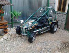 Buggy cu motor de Tico: o creatie facuta de la 0 in Brasov