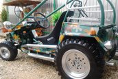 Buggy cu motor de Tico: o creatie facuta de la 0 in Brasov