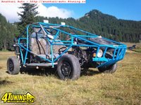 Buggy Buggy