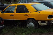 bujan