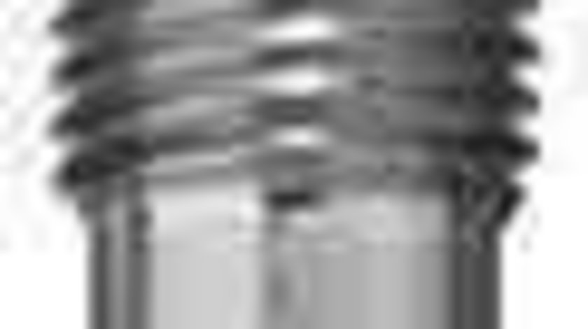 Bujie incandescenta CITROËN JUMPER caroserie (230L) BERU GN012