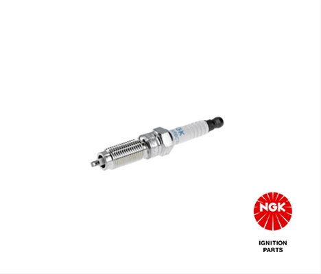 Bujii Ngk Ford 93593