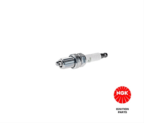 Bujii Ngk Ford Otosan 4120