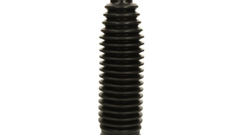 Burduf caseta directie LAND ROVER FREELANDER 2 (L359) PASCAL I6G001PC