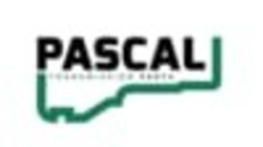 burduf caseta directie RENAULT MEGANE I (BA0/1_) PASCAL I6R010PC