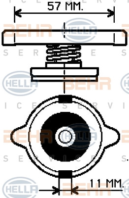 Buson,radiator (8MY376768141 HELLA)