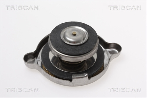 Buson,radiator Triscan Fiat 8610 1