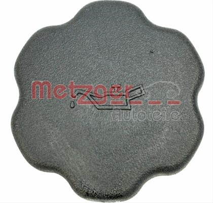 Buson Umplere Ulei Metzger Ford 2141011