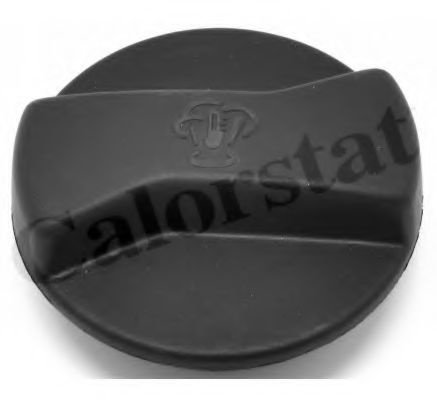Buson,vas expansiune AUDI Q7 (4L) (2006 - 2015) CALORSTAT by Vernet RC0082 piesa NOUA