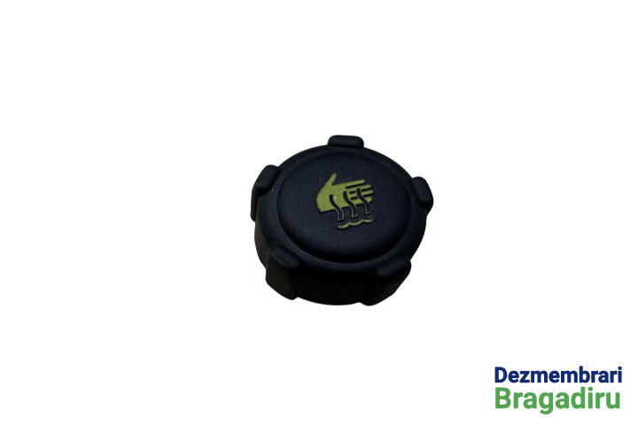 Buson vas expansiune Dacia Logan [2004 - 2008] Sedan 1.4 MT (75 hp) Cod motor: K7J-A7