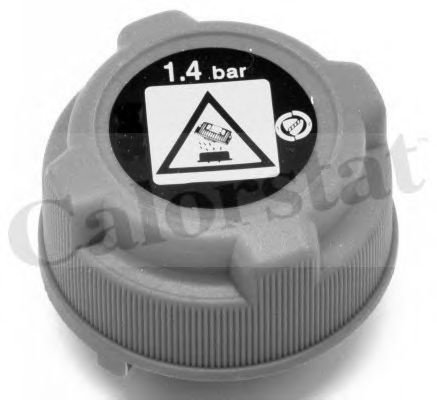 Buson,vas expansiune FIAT DOBLO Combi (263) (2010 - 2016) CALORSTAT by Vernet RC0023 piesa NOUA