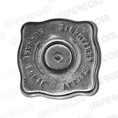 Buson,vas expansiune FIAT DUCATO Panorama (290) (1990 - 1994) ORIGINAL IMPERIUM 29638 piesa NOUA