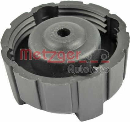 Buson,vas expansiune FIAT DUCATO platou / sasiu (230) (1994 - 2002) METZGER 2140103 piesa NOUA