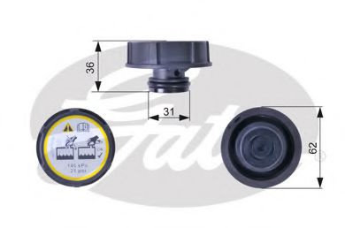 Buson,vas expansiune FORD C-MAX II (DXA) (2010 - 2016) GATES RC240 piesa NOUA