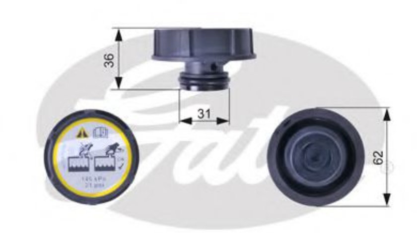 Buson,vas expansiune FORD FOCUS II Limuzina (DA) (2005 - 2016) GATES RC240 piesa NOUA