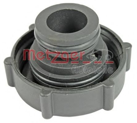 Buson,vas expansiune FORD MONDEO II Limuzina (BFP) (1996 - 2000) METZGER 2140112 piesa NOUA