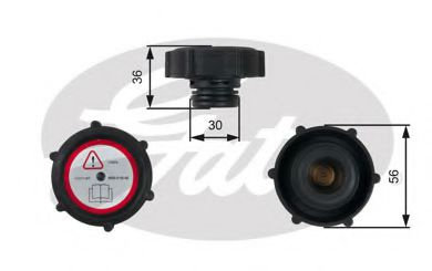 Buson,vas expansiune FORD TRANSIT bus (FD, FB, FS, FZ, FC) (2000 - 2006) GATES RC230 piesa NOUA