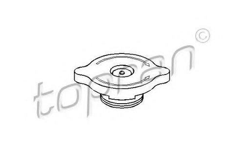 Buson,vas expansiune FORD TRANSIT platou / sasiu (E) (1994 - 2000) TOPRAN 300 864 piesa NOUA