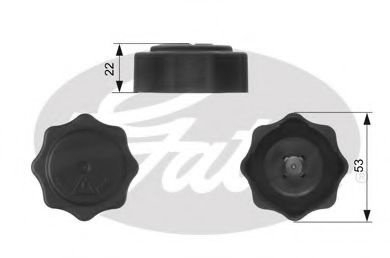 Buson,vas expansiune LAND ROVER FREELANDER (LN) (1998 - 2006) GATES RC229 piesa NOUA