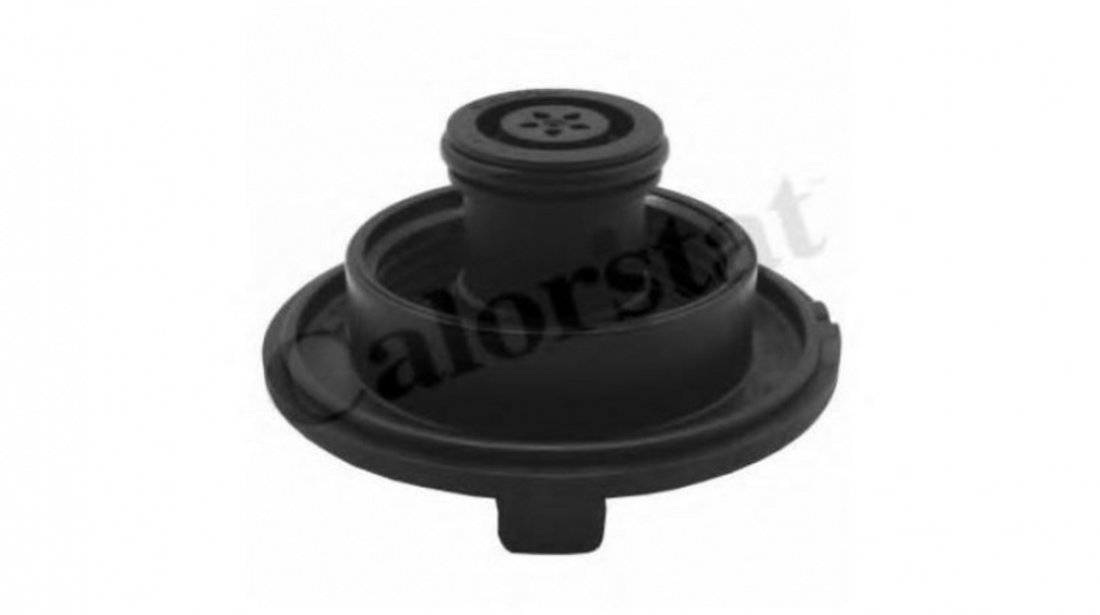 Buson vas expansiune Mercedes VITO bus (W639) 2003-2016 #2 6395010015